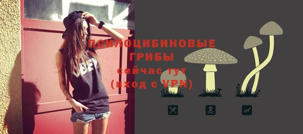 jwh Алзамай