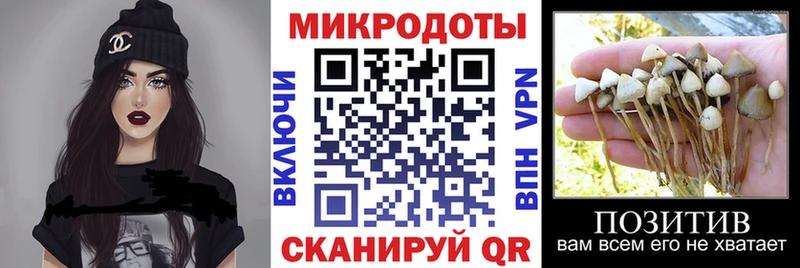 даркнет сайт  Калтан  Псилоцибиновые грибы прущие грибы 